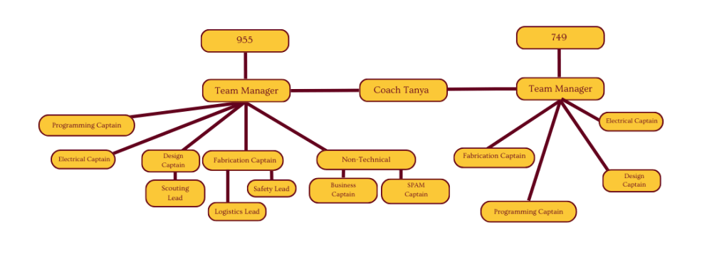 team structure